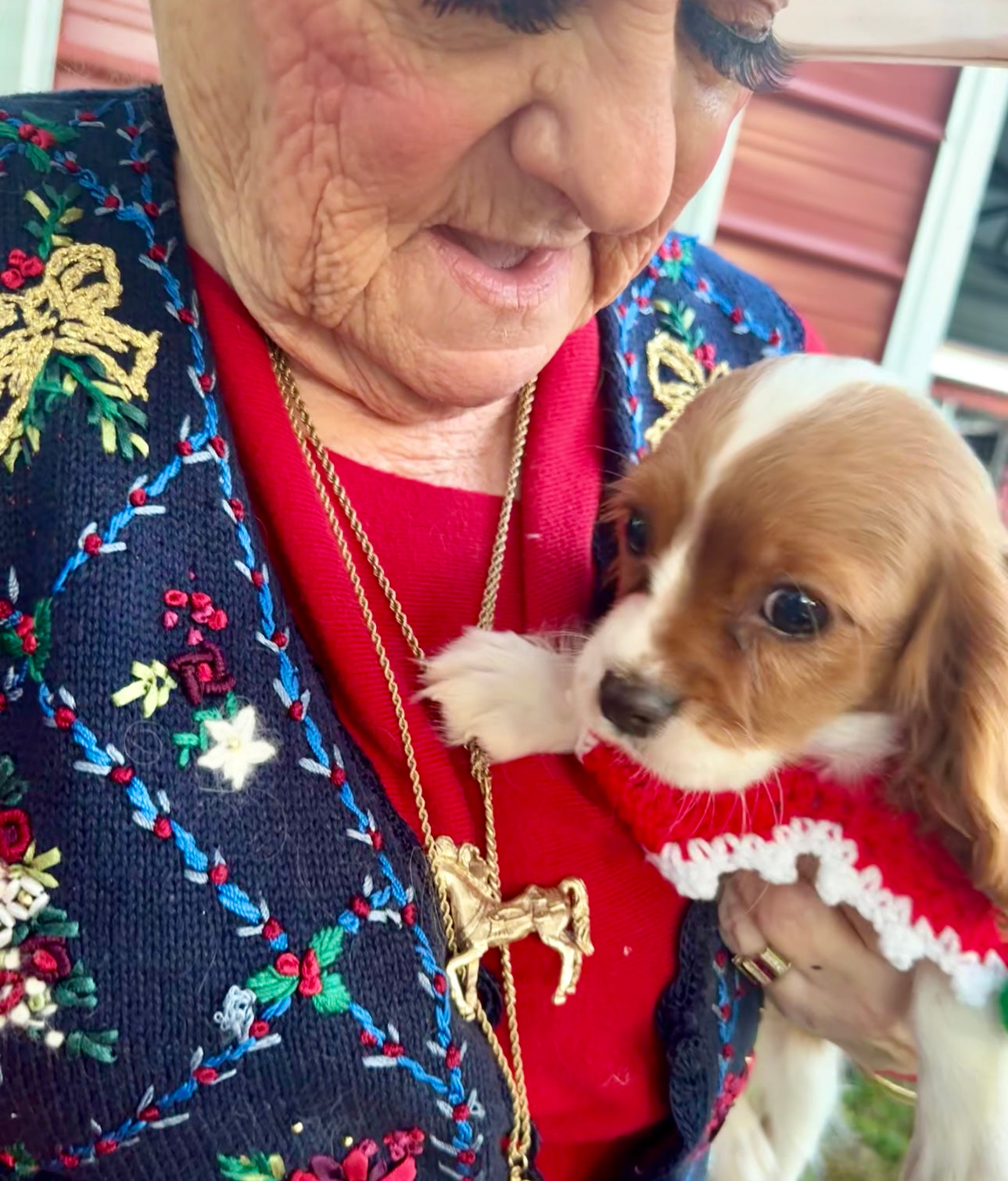 Marilee AKC (female)