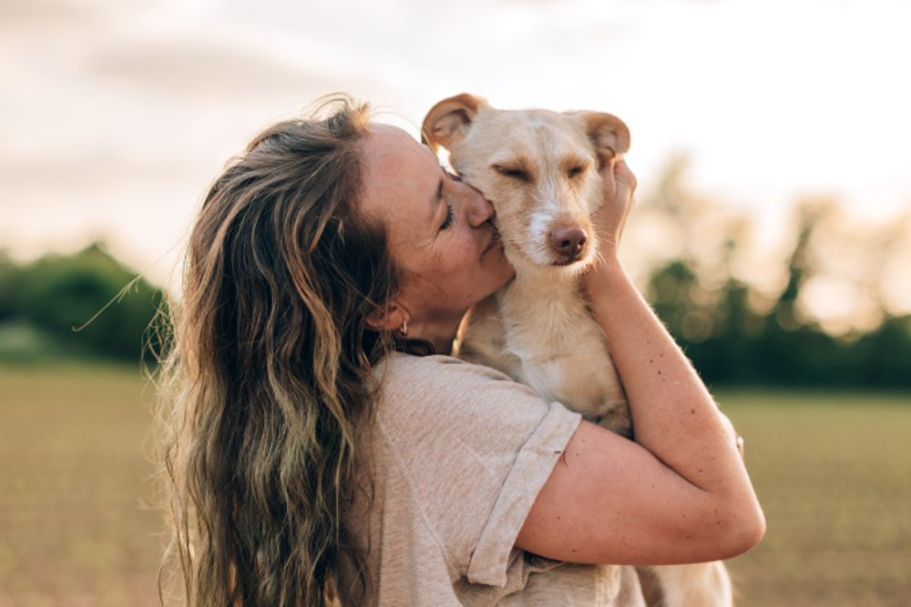 Simple & Stress-Free Adoption